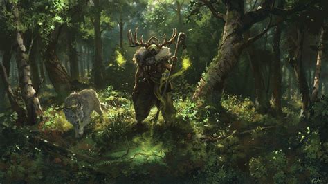 Druid Wallpapers - Top Free Druid Backgrounds - WallpaperAccess