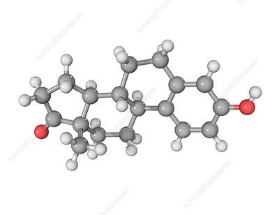 Oestrone hormone molecule - Stock Image - C003/2382 - Science Photo Library