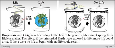 Theory Of Biogenesis Definition / Biogenesis vs. abiogenesis / In the theory of germ disease, it ...