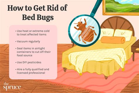 How to Get Rid of Bed Bugs