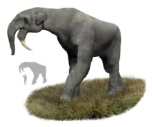 Deinotherium | Extinct animals, Prehistoric animals, Ancient animals