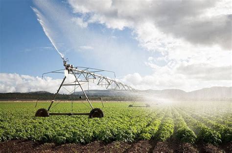 Are you using these 4 water conservation methods in farming? - NATRAJ