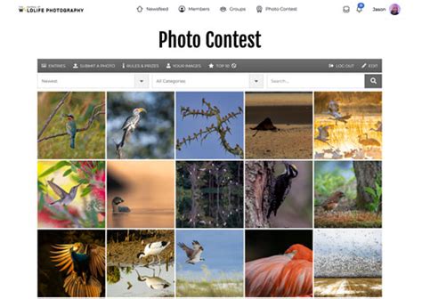 Monthly Photo Contests - Journal of Wildlife Photography