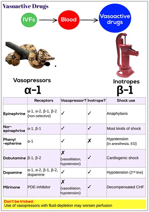 Vasoactive drugs - Medicine Keys for MRCPs