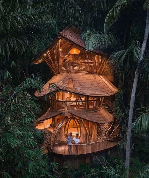 15 Amazing TreeHouse Hotels and Lodges For A Terrific Eco-Friendly Stay in 2020 | Jungle house ...