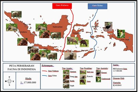 45+ Gambar Dan Jelaskan Mengenai Persebaran Flora Dan Fauna Di Indonesia