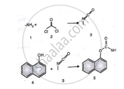 Explain with Suitable Equations Conventional and Green Synthesis of Carbaryl. Also Mention the ...