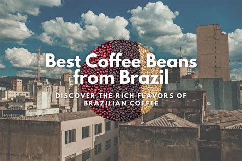 Best Coffee Beans from Brazil: Discover the Rich Flavors of Brazilian ...