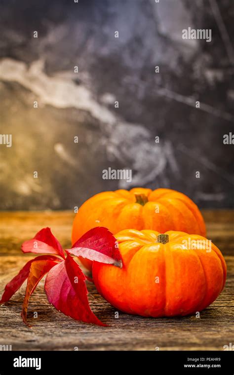 Fall harvest of pumpkins Stock Photo - Alamy