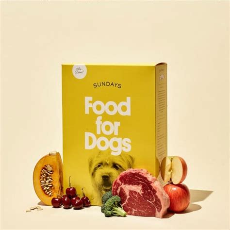 10 Best Human-Grade Dog Food Brands - Must Read This Before Buying