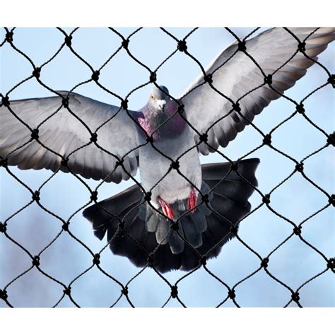 No Knot Bird Netting Pigeon Netting Bird B Gone, 60% OFF