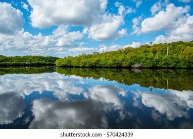 Loxahatchee Images, Stock Photos & Vectors | Shutterstock