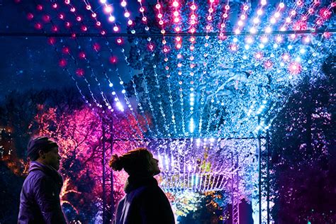 Lightscape Is Coming To Brisbane This Year | URBAN LIST BRISBANE