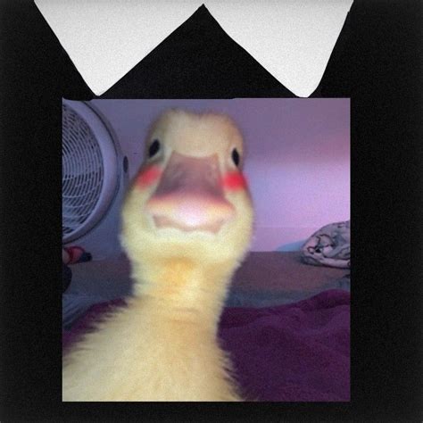 Roblox Duck Shirt Template