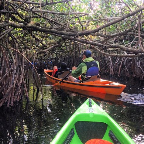 Tours — Everglades Kayak Tours Shurr Adventures