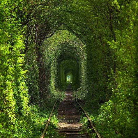 Tunnel of Love, Ukraine Wonderful Places, Great Places, Places To See, Places To Travel ...