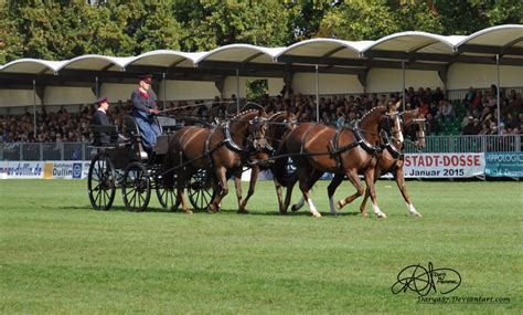 103 - 2014 - Four-in-Hand Carriage 1 by Darya87 on DeviantArt