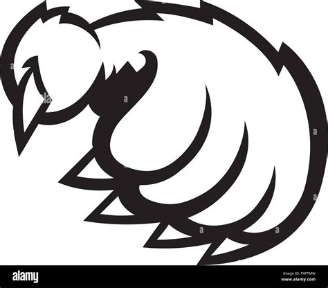 Bear claw vector illustration Stock Vector Image & Art - Alamy