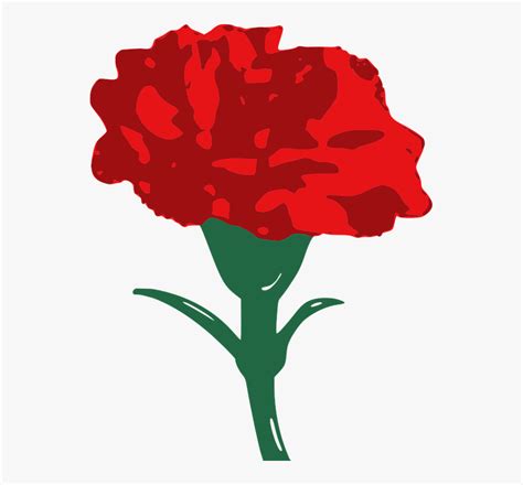 Carnation, Flower, Red - Clip Art Red Carnation, HD Png Download , Transparent Png Image - PNGitem