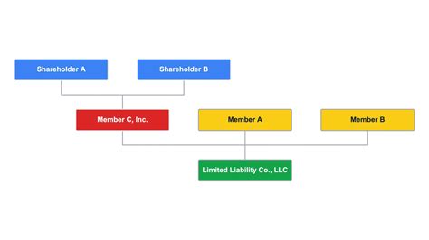 3 Types of Company Structure Every Business Needs