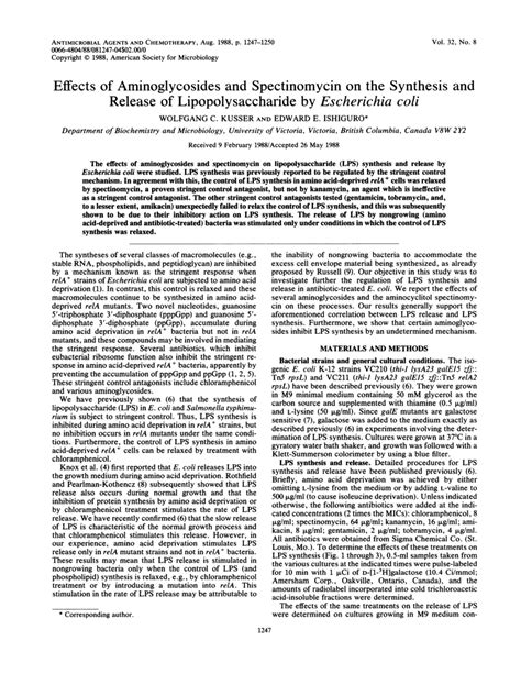 (PDF) Effects of aminoglycosides and spectinomycin on the synthesis and release of ...