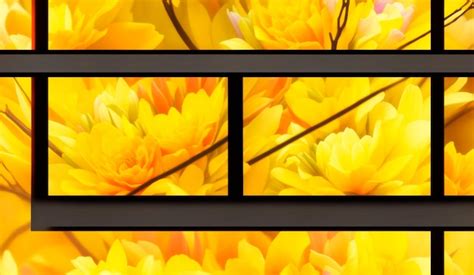 Premium AI Image | Abstract yellow flowers background for banner