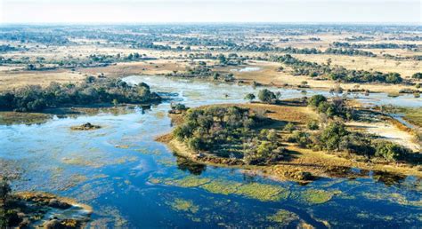 Discover the Best Time to Visit the Okavango Delta - FastTreck Travels ...