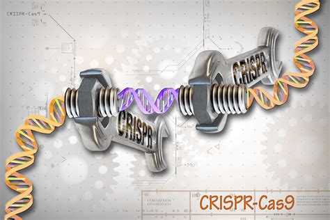 Through CRISPR gene editing we can change the nature of our species