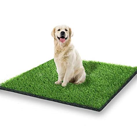 Best Artificial Grass for Dogs - The Ultimate Buyer's Guide