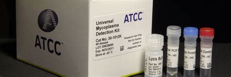 PCR-based Mycoplasma Testing | ATCC