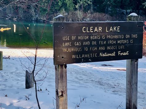 Clear Lake Resort in the Willamette National Forest