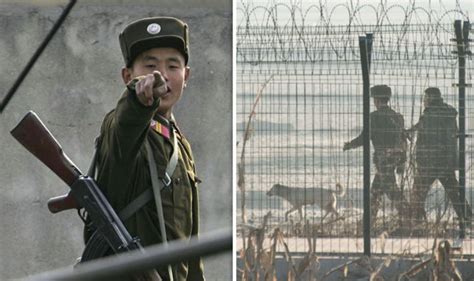 North Korea World War 3 fears: China strengthens border | World | News ...