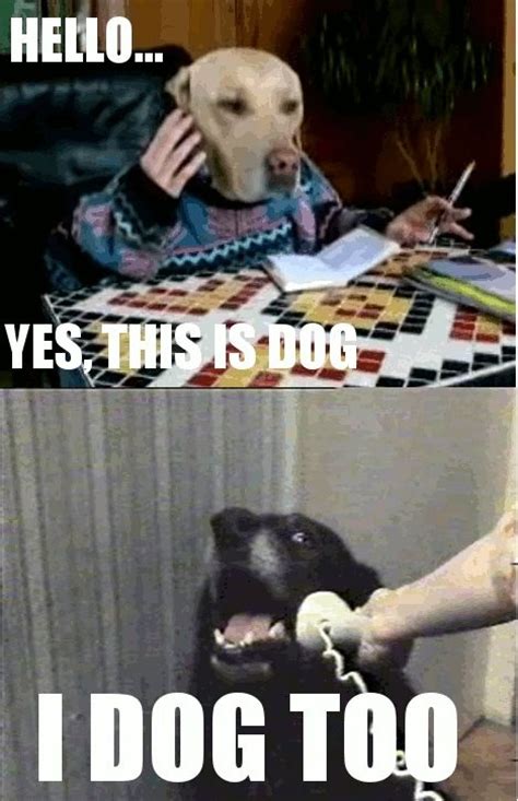 1000+ images about All "Hello. This is dog." Memes!! Indeed!! on Pinterest