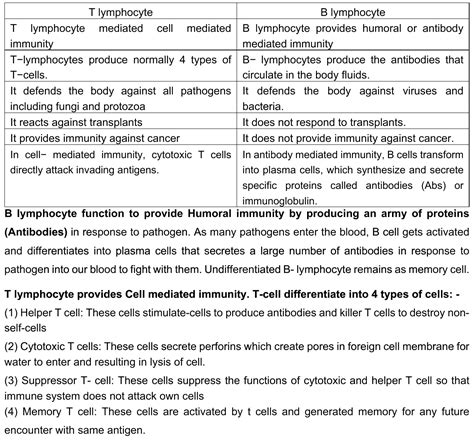 Differences Between B Cells And T Cells T Cells And B Cells Are The ...