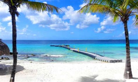 Bonaire, Kralendijk Cruise Port Review & Travel Guide | IQCruising