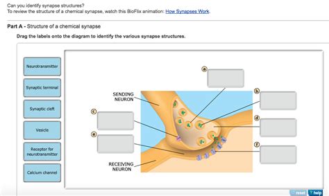 Biology Archive | May 31, 2016 | Chegg.com