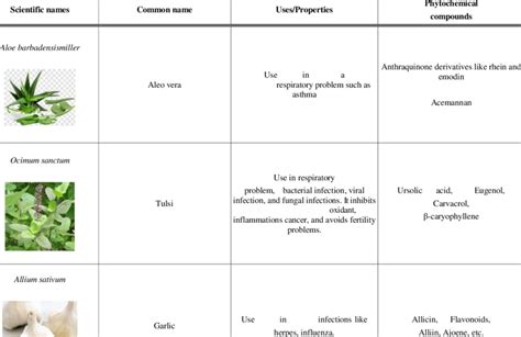 Lists of medicinal plants which have antiviral properties and can be... | Download Scientific ...