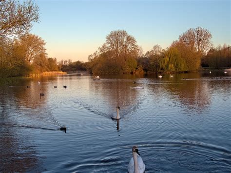 Backwell Lake, N Somerset by cmiller | ePHOTOzine