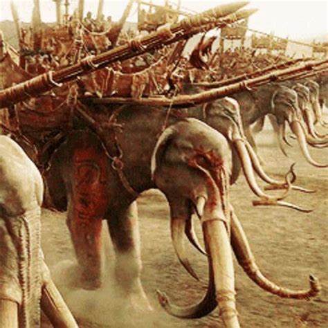 Giant Elephants Lord Of The Rings - Hallerenee