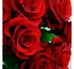 Bouquet of Roses Delivery 6/7 | Order | Bouvard Fleurs