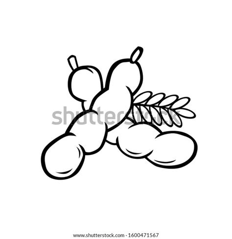 Tamarind Black White Vector All Purpose: vector de stock (libre de regalías) 1600471567 ...