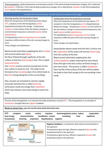 Homeostasis:- Thermoregulation - AQA GCSE Biology 9-1 Revision Sheets | Teaching Resources