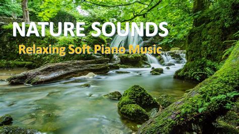 😊RELAXING MUSIC OF NATURE SOUNDS - Beautiful Soft Piano Music with ...