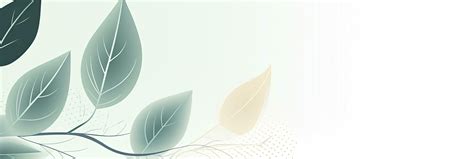 AI generated Minimalist abstract background with outline leaves. AI ...