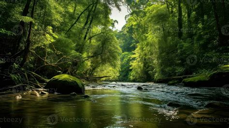 landscape brunei rainforest pristine ai generated 32457836 Stock Photo at Vecteezy