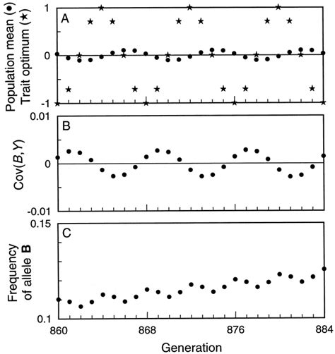 THE EVOLUTION OF GENETIC CANALIZATION UNDER FLUCTUATING SELECTION