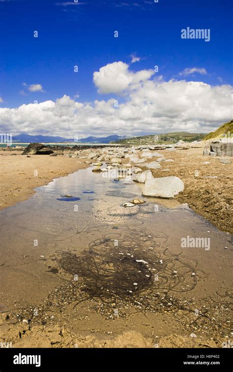 Beach at Shell Island, Wales,UK Stock Photo - Alamy