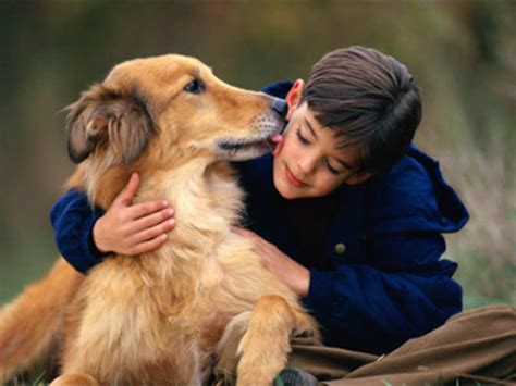 What To Know When Raising A Dog | Pet Visual