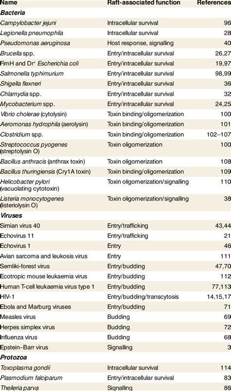 | Examples of pathogens that hijack rafts | Download Table