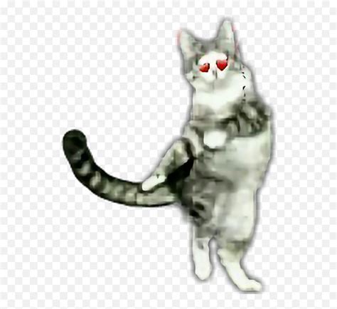 Dance Dancingcat Cat - Cat Yawns Emoji,Dancing Cat Emoji - free transparent emoji - emojipng.com